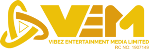 Vibez Entertainment Media - logo